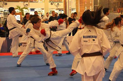 Associação Blumenau de karate se apresenta, neste sábado, dia 08 de setembro, no Park Europeu entre 15h e 17h / Foto: Vanderlei de Oliveira