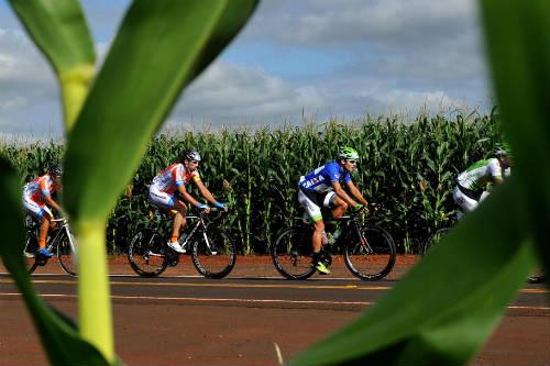 Ciclistas de Mato Grosso almejam conquistas nas competições de 2016 / Foto: Divulgação