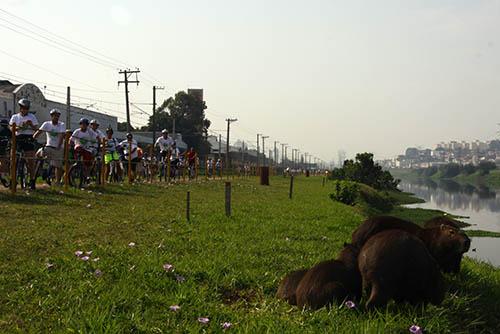 Pausa no pedal para admirar as capivaras / Foto: JB Carvalho / Shimano