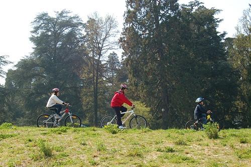O passeio ciclístico é uma das atrações do 1º Desafio Blumenau de Mountain Bike, e pretende reunir famílias de todos os tamanhos e idades para curtir as belas paisagens de uma das cidades mais bonitas de Santa Catarina / Foto: FreeImages
