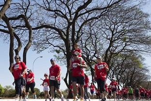 O pelotão será composto por 15 corredores / Foto: Divulgação O pelotão será composto por 15 corredores / Foto: Divulgação