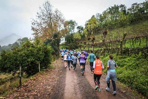 Será a sexta edição da meia maratona na Serra Gaúcha: muitos desafios e belas paisagens no próximo ano, em Bento Gonçalves / Foto: Divulgação Será a sexta edição da meia maratona na Serra Gaúcha: muitos desafios e belas paisagens no próximo ano, em Bento Gonçalves / Foto: Divulgação