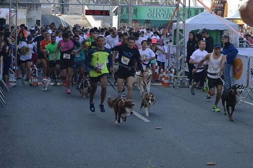 Inscrições acontecem até o dia 11 / Foto: Divulgação Inscrições acontecem até o dia 11 / Foto: Divulgação
