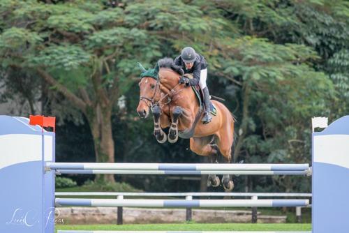 Thales Marino com Coudeur JMen: campeão brasileiro mirim  / Foto: Luis Ruas / Brasil Hipismo