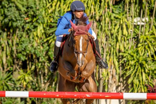 Andrea Muniz com Maloubet Xangô, uma filha de Baloubet du Rouet, conjunto campeão brasileiro cavalos novos 8 anos  / Foto: arquivo; Luis Ruas