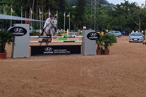 Elite do Hipismo disputa a final do Brasileiro Hyundai Senior Top  / Foto: Divulgação