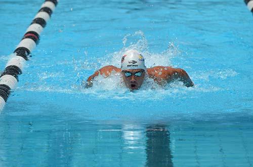 Depois da dispensa do Sulamericano de Desportos Aquáticos, Em Mar Del Plata, na Argentina, agora foi a vez do Mundial de Doha, Catar. / Foto: LD Sports Depois da dispensa do Sulamericano de Desportos Aquáticos, Em Mar Del Plata, na Argentina, agora foi a vez do Mundial de Doha, Catar. / Foto: LD Sports