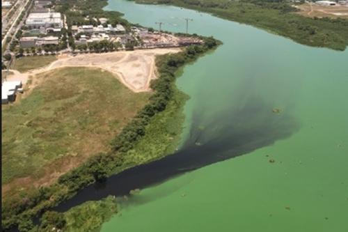 Uma das lagoas ao redor do Parque Olímpico sofre com a poluição / Foto: Mario Moscatelli / Projeto Olho Verde