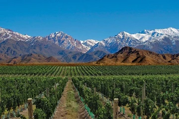 Maratonas de Santiago e Mendoza oferecem corrida e enoturismo em 2027