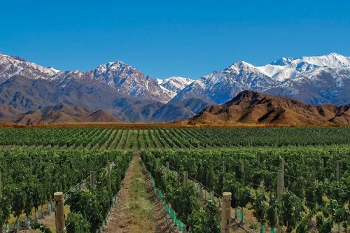 Maratonas de Santiago e Mendoza oferecem corrida e enoturismo em 2027