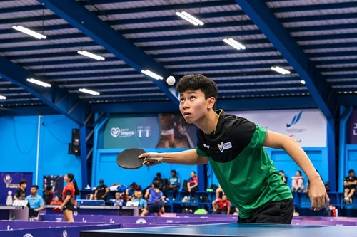 Vitor Thiofilo e Maiara Agnone conquistam bronze no WTT Youth Contender Asunción II - Confederação Brasileira de Tênis de Mesa